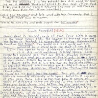 Primary page