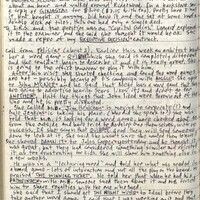 Primary page