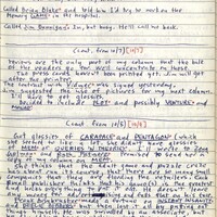 Primary page