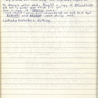 Primary page
