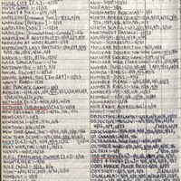 Primary page