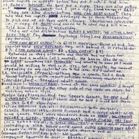 Primary page