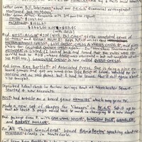 Primary page