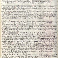 Primary page
