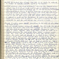 Primary page