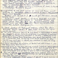 Primary page