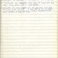 Primary page