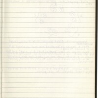 Primary page