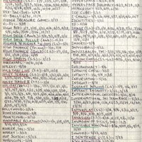 Primary page
