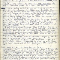 Primary page