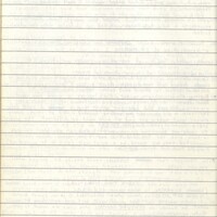 Primary page