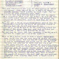 Primary page