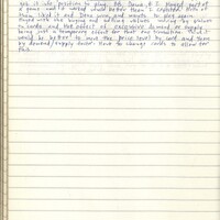 Primary page