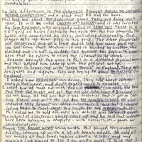 Primary page