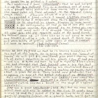 Primary page