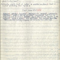 Primary page