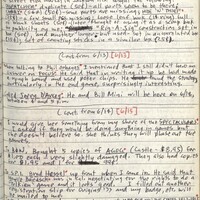 Primary page